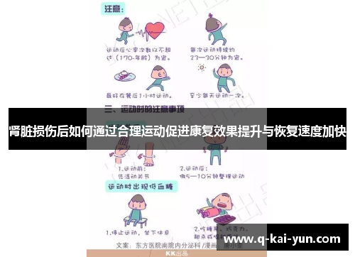 肾脏损伤后如何通过合理运动促进康复效果提升与恢复速度加快