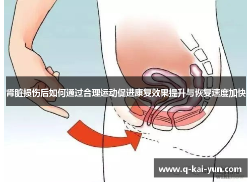 肾脏损伤后如何通过合理运动促进康复效果提升与恢复速度加快